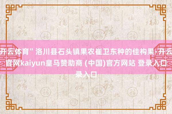 开云体育”洛川县石头镇果农崔卫东种的佳构果-开云官网kaiyun皇马赞助商 (中国)官方网站 登录入口