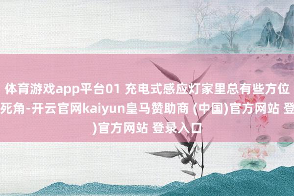体育游戏app平台01 充电式感应灯家里总有些方位是灯光死角-开云官网kaiyun皇马赞助商 (中国)官方网站 登录入口