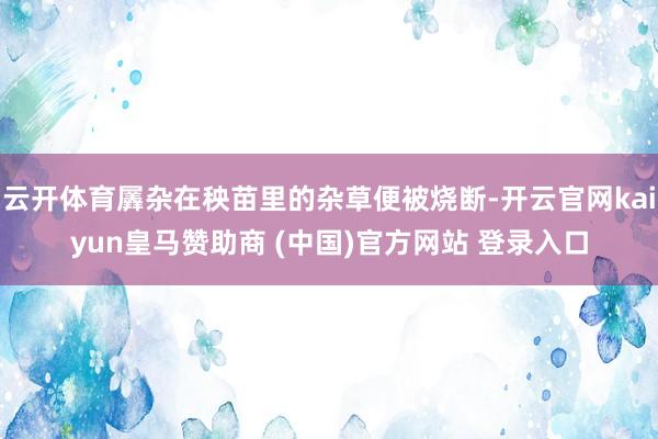 云开体育羼杂在秧苗里的杂草便被烧断-开云官网kaiyun皇马赞助商 (中国)官方网站 登录入口