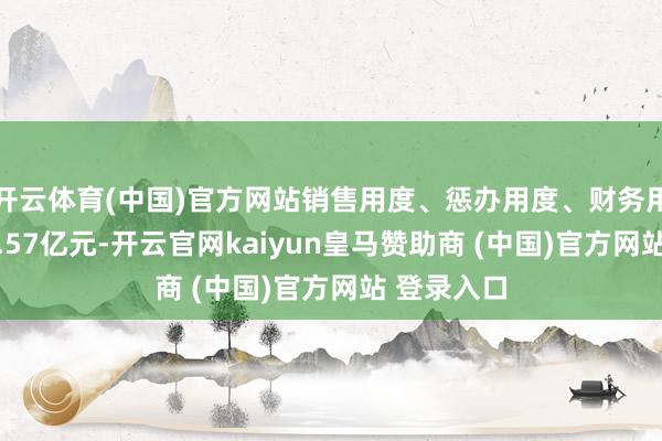开云体育(中国)官方网站销售用度、惩办用度、财务用度觉得28.57亿元-开云官网kaiyun皇马赞助商 (中国)官方网站 登录入口